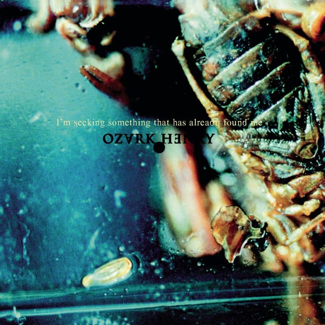 Album cover art for I'm Seeking Something That Has Already Found Me