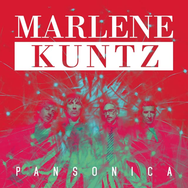 Album cover art for Pansonica