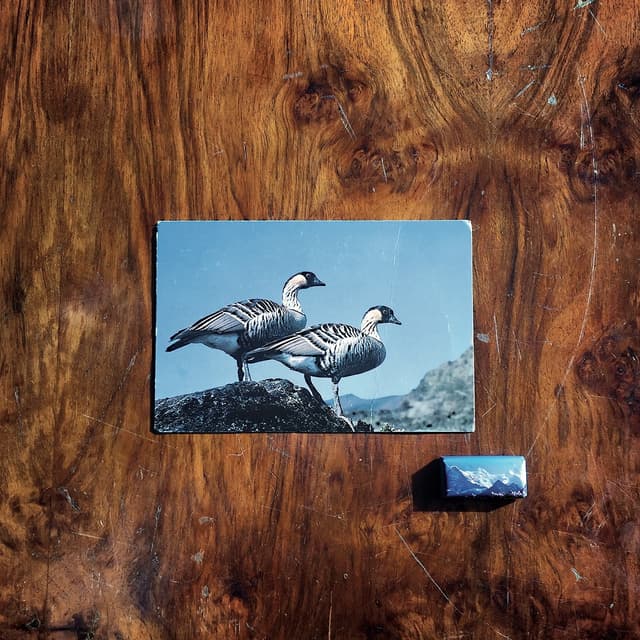 Album cover art for Il numero sette