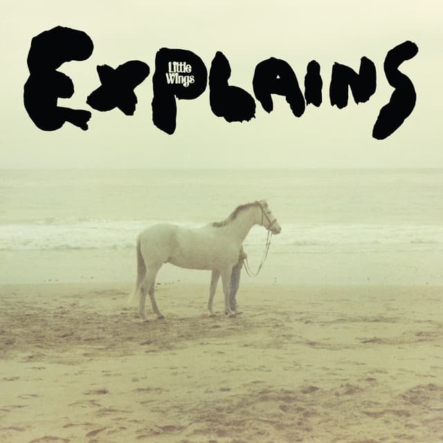 Album cover art for Explains