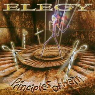 Album cover art for Principles Of Pain