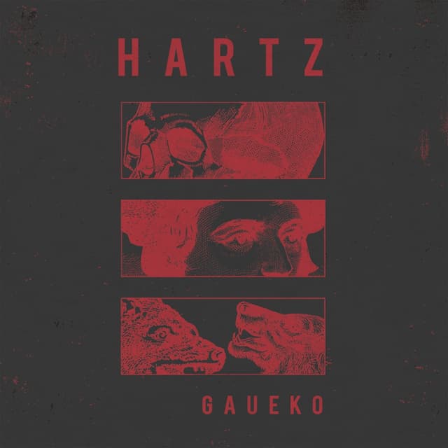 Album cover art for Gaueko