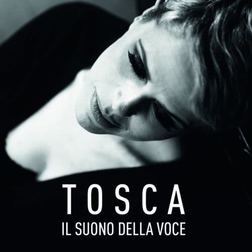 Album cover art for Il suono della voce