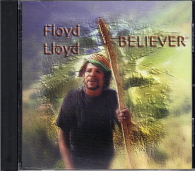 Album cover art for Believer