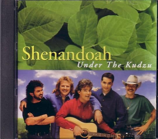 Album cover art for Under the Kudzu