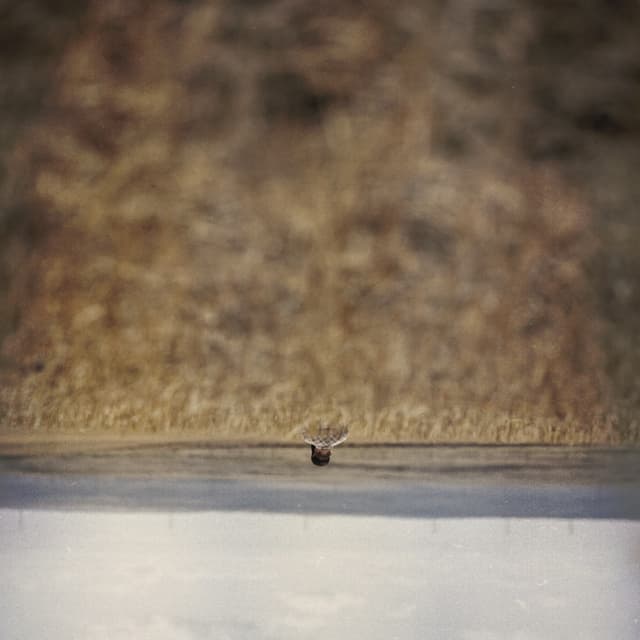 Album cover art for Hands That Bind