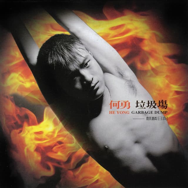 Album cover art for 垃圾场