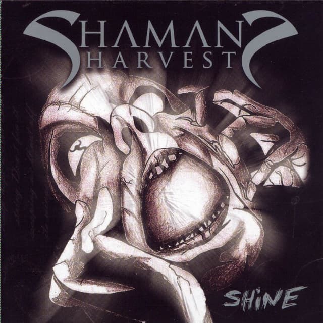 Album cover art for Shine