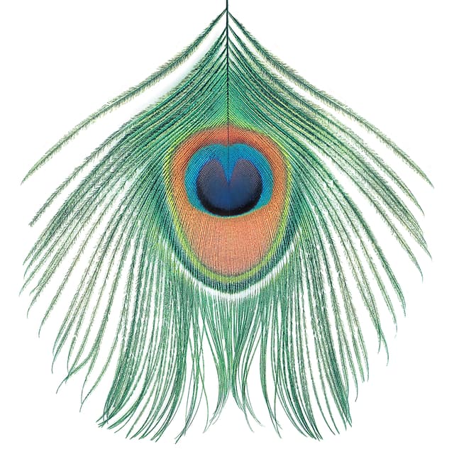 Album cover art for Apple Venus Volume 1