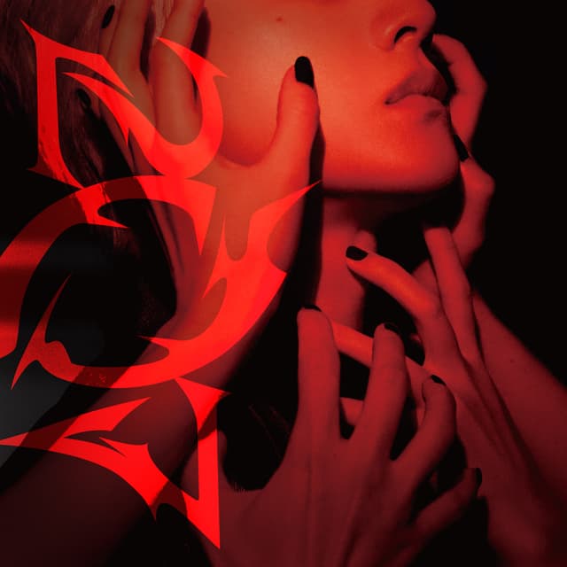 Album cover art for 207