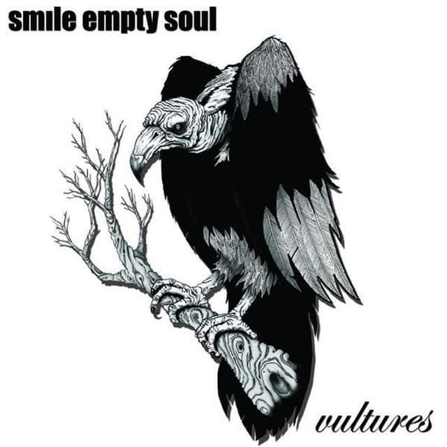 Album cover art for Vultures