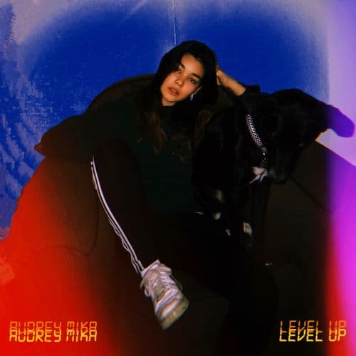 Album cover art for Level Up