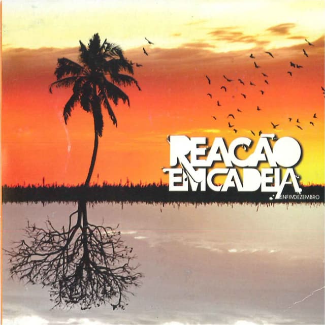 Album cover art for Enfim Dezembro