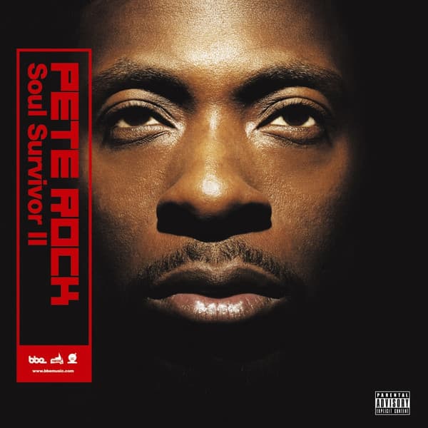 Album cover art for Soul Survivor II