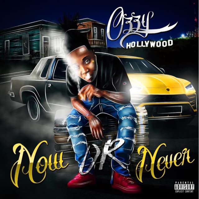 Album cover art for Now or Never