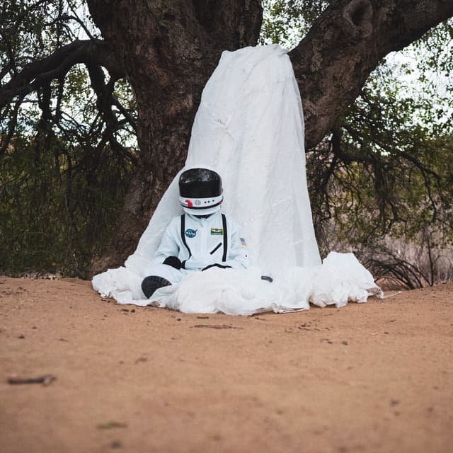 Album cover art for The High Before You Fall