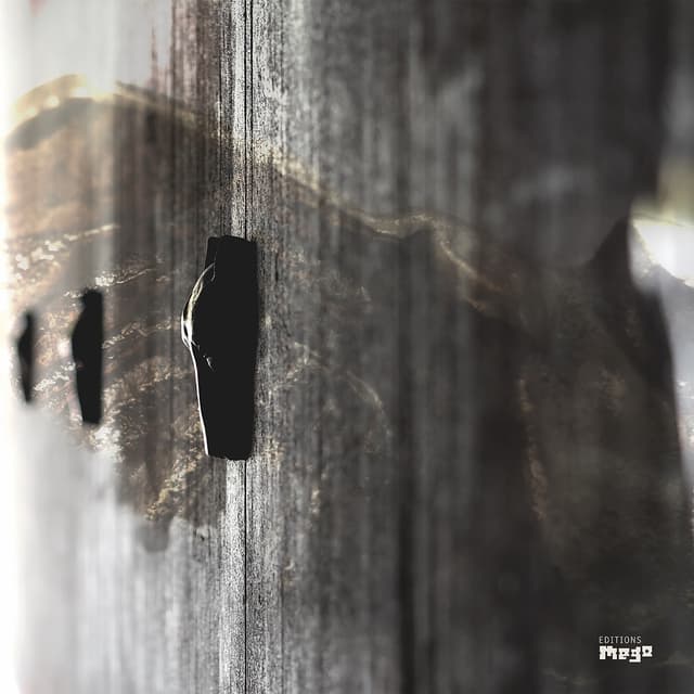 Album cover art for On Feather and Wire