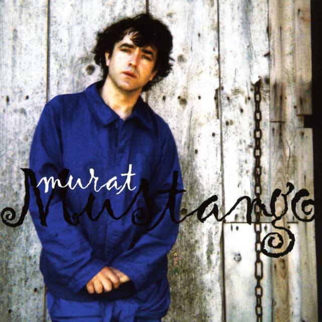 Album cover art for Mustango