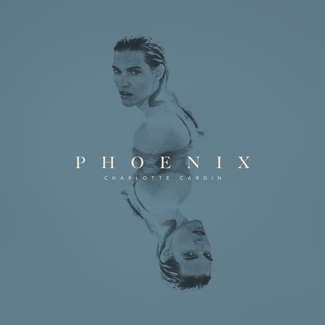 Album cover art for Phoenix