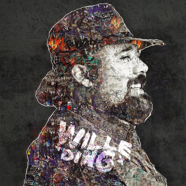 Album cover art for Wille Ding
