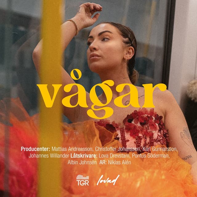 Album cover art for Vågar