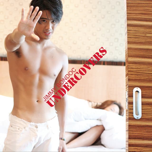 Album cover art for Undercovers