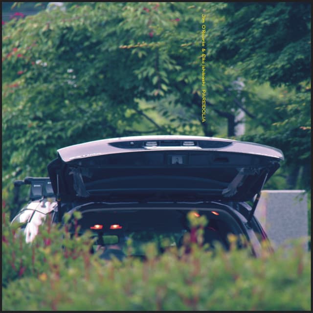 Album cover art for Pareidolia