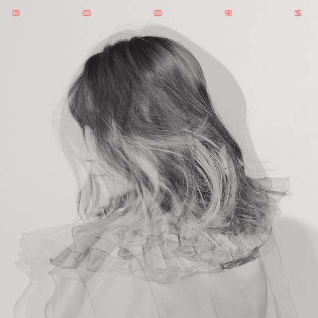 Album cover art for DOORS