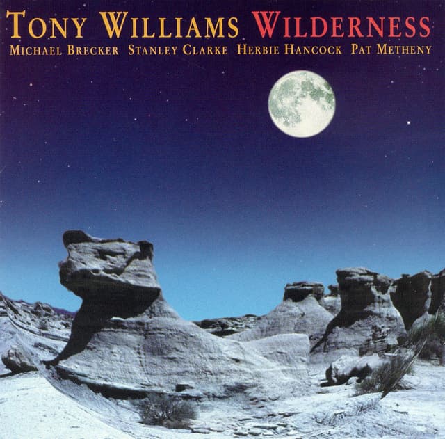 Album cover art for Wilderness