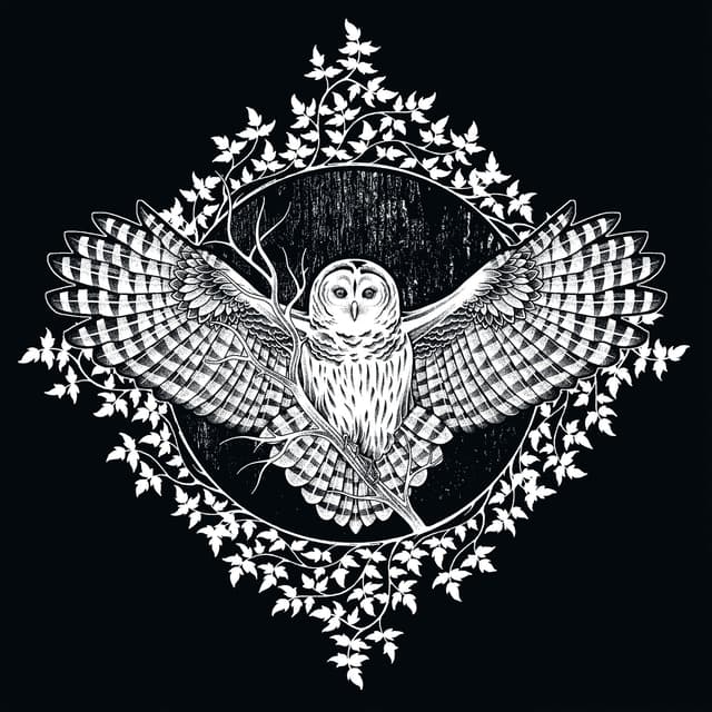 Album cover art for Alda