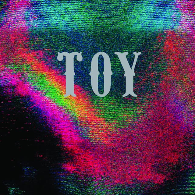 Album cover art for Toy