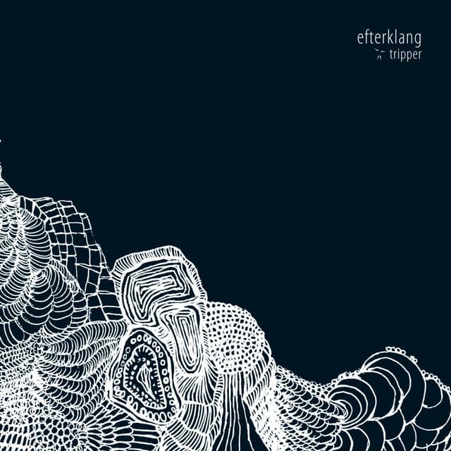 Album cover art for Tripper