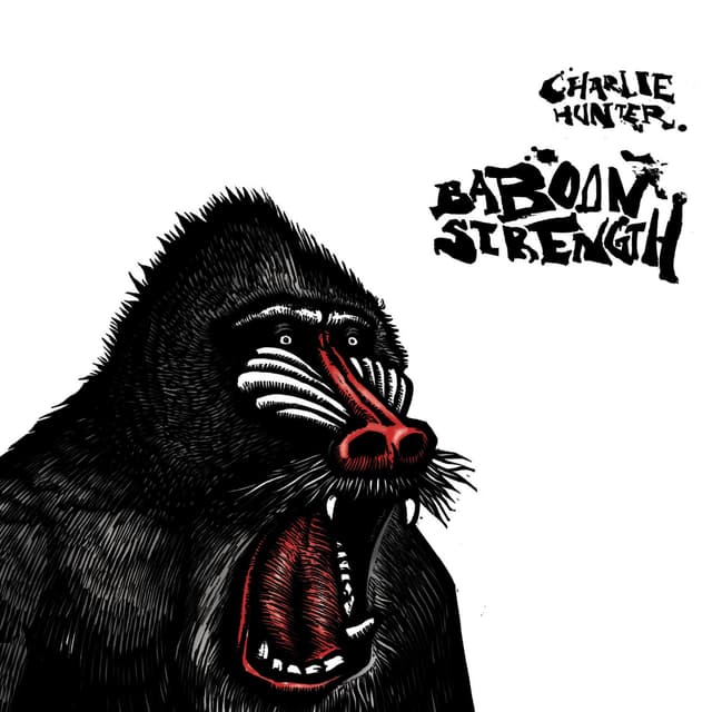 Album cover art for Baboon Strength