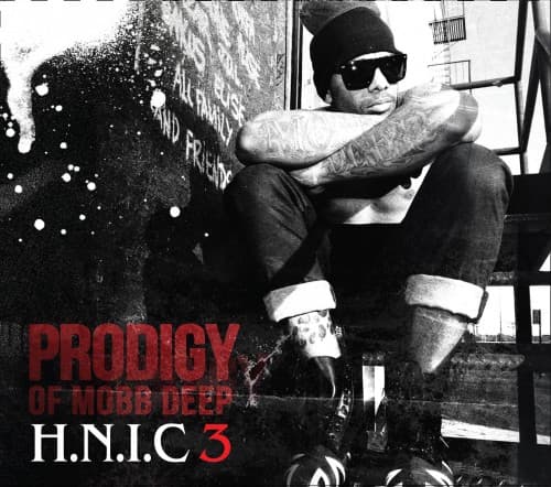 Album cover art for H.N.I.C 3