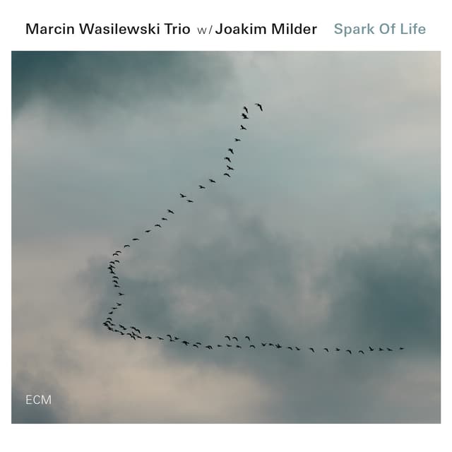 Album cover art for Spark of Life