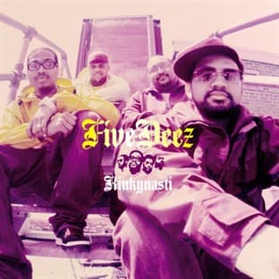 Album cover art for Kinkynasti