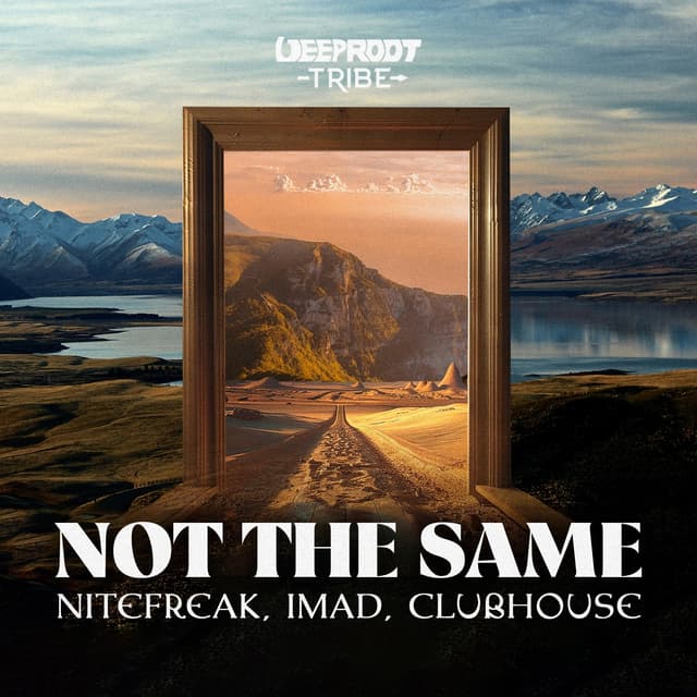 Album cover art for Not The Same
