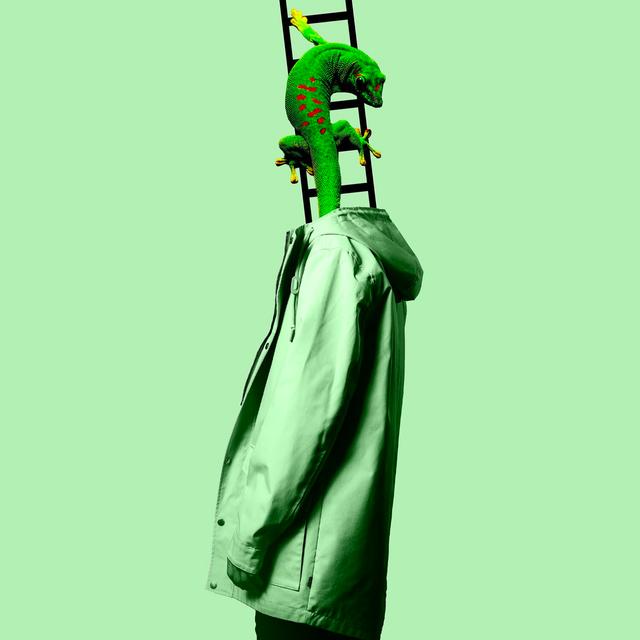 Album cover art for Forgive Me
