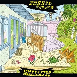 Album cover art for Shallow