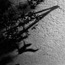 Shadow Journal