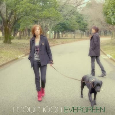 Album cover art for EVERGREEN