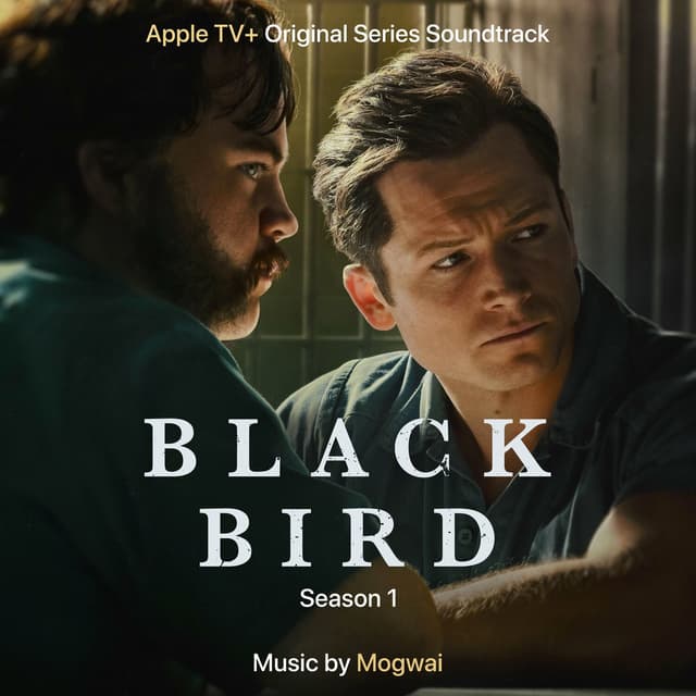 Album cover art for Black Bird