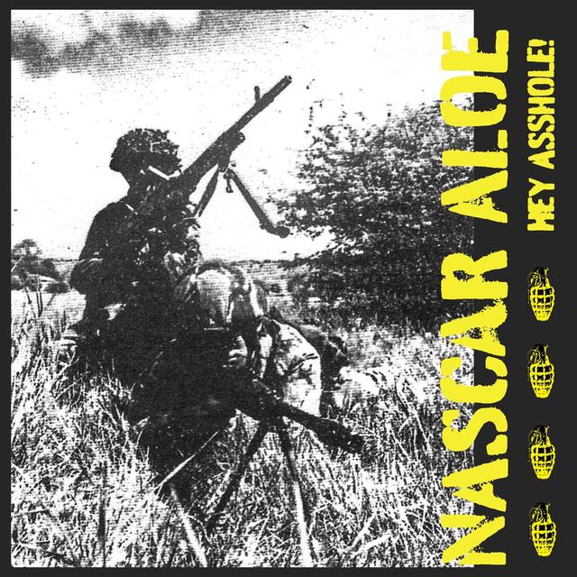 Album cover art for HEY ASSHOLE!