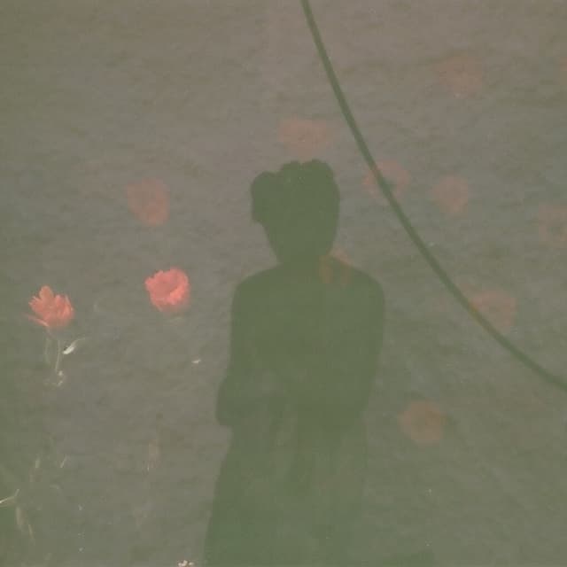 Album cover art for Whitelands