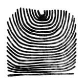 Album cover art for Howl