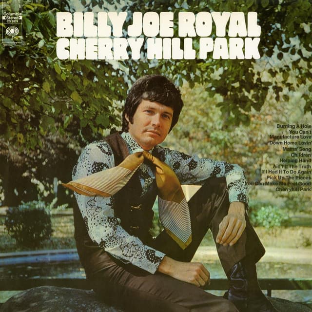 Album cover art for Cherry Hill Park