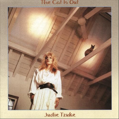 Album cover art for The Cat Is Out