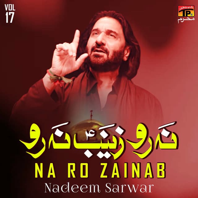 Album cover art for Na Ro Zainab, Vol. 17