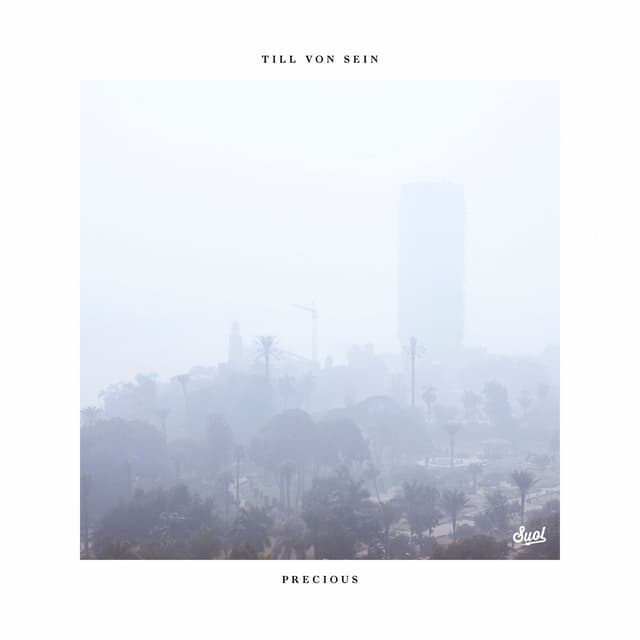 Album cover art for Precious