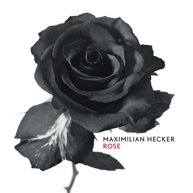 Album cover art for Rose